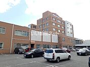 【総合病院】医療法人社団養生館 苫小牧日翔病院まで546ｍ