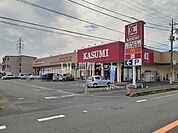 【スーパー】フードマーケットカスミ日立豊浦店まで1690ｍ