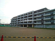【小学校】仙台市立新田小学校まで414ｍ