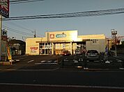 【ドラッグストア】ウエルシア練馬下石神井店まで1121ｍ