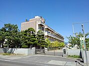 【小学校】丸亀市立城辰小学校まで191ｍ