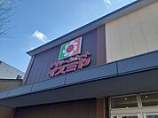 【スーパー】デイリーカナートイズミヤ 千本中立売店まで305ｍ