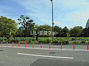 【公園】舞鶴公園まで1237ｍ