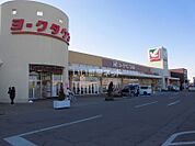 【スーパー】ヨークベニマル 坂東店まで1043ｍ