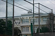 【小学校】今治市立立花小学校まで239ｍ