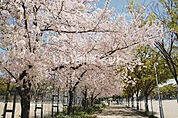 【公園】巽公園まで859ｍ