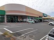 【スーパー】スーパーサンシ河芸店まで1269ｍ