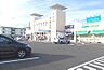 周辺：【クリニック】善ファミリークリニック＆パシオス富水店まで1518ｍ