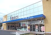 【その他】Paseos(パシオス) 開成店まで720ｍ