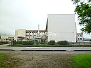 【小学校】南砺市立井波小学校まで608ｍ