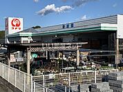 【ホームセンター】コメリハード＆グリーン森店まで1111ｍ