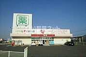 【ドラッグストア】レディ薬局まで5758ｍ