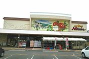 【スーパー】四季食彩館ムーミー 太田店まで427ｍ