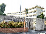 【小学校】岡山市立旭竜小学校まで1281ｍ