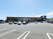 【スーパー】かわねや 木崎本店まで287ｍ