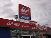【ドラッグストア】ドラッグストアウェルネス 湖山東店まで1503ｍ