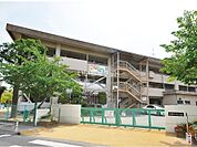 【小学校】中島小学校まで1612ｍ