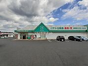 【ドラッグストア】ザグザグ志戸部店まで1749ｍ