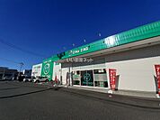 【ドラッグストア】ザグザグ高野店まで1174ｍ