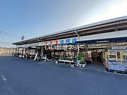 【ホームセンター】ホームプラザナフコ 玖珂店 本館まで1076ｍ