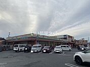 【スーパー】スーパーマーケット コノミヤ 大蓮東店まで544ｍ