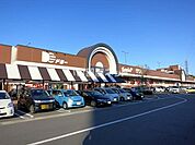 【ショッピングセンター】ドミー若松店まで969ｍ