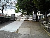 【小学校】霧島市立向花小学校まで1573ｍ