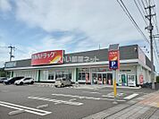 【ドラッグストア】ツルハドラッグ　大河原小島店まで1244ｍ