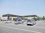 【文具店】デサキ大分わさだ店まで310ｍ