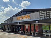 【レンタルビデオ】TSUTAYA 土佐道路店まで427ｍ