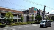 【スーパー】アピタ 横浜綱島店まで776ｍ