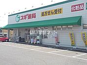【ドラッグストア】スギドラッグ 舟橋店まで1017ｍ
