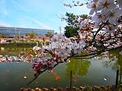 【公園】亀城公園まで499ｍ
