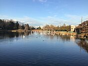 【公園】大島公園まで719ｍ