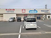 【ドラッグストア】ウエルシア四街道鹿渡店まで595ｍ