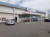 【ドラッグストア】カワチ薬品　岡本店まで2017ｍ