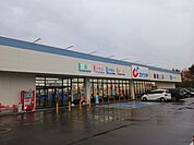 【ドラッグストア】カワチ薬品 結城北店まで1216ｍ