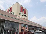 【スーパー】ハローズ 御幸店まで461ｍ