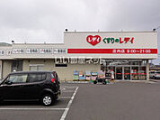 【ドラッグストア】レディ薬局庄内店まで353ｍ
