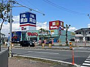 【ドラッグストア】ドラッグストアWants(ウォンツ) 宇部琴芝店まで742ｍ