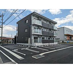 PLUMERIA　shirasuka