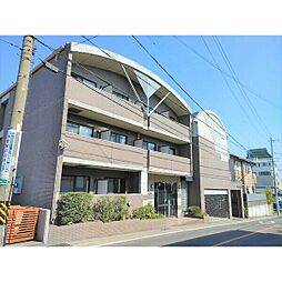 パピリオ・花の木・