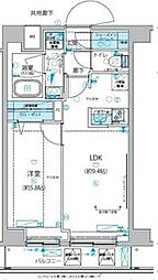 都営三田線 志村三丁目駅 徒歩9分の賃貸マンション 6階1LDKの間取り