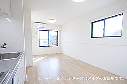 カメリヤウッド 201