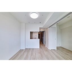 JR総武線 新小岩駅 徒歩5分の賃貸マンション 9階2DKのリビング/ダイニング