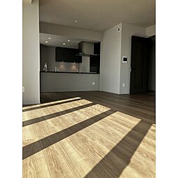 Ｂｒｉｌｌｉａ　Ｔｏｗｅｒ浜離宮 3105 31階2LDKのリビング/ダイニング