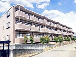 東武野田線 豊四季駅 徒歩16分の賃貸マンション