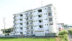 遠州鉄道 自動車学校前駅 徒歩7分の賃貸マンション