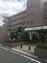 ロイヤルメゾンIV 506