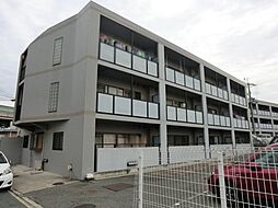 ライトパティオ上